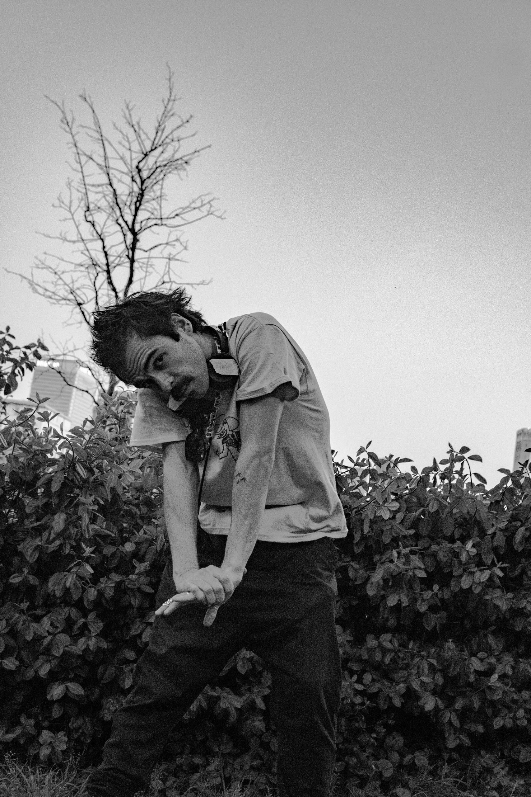 {{brizy_dc_image_alt imageSrc=