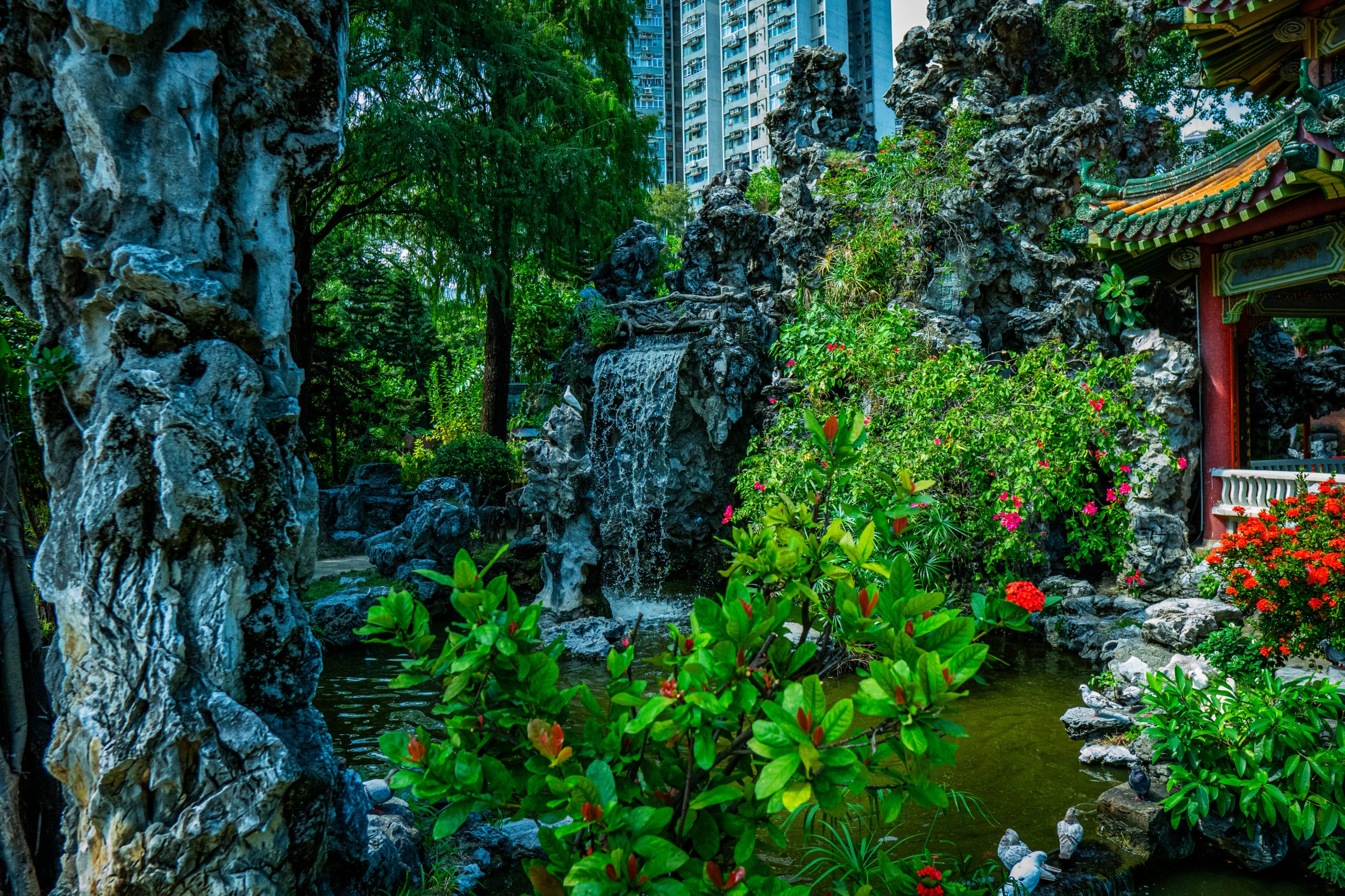 {{brizy_dc_image_alt imageSrc=