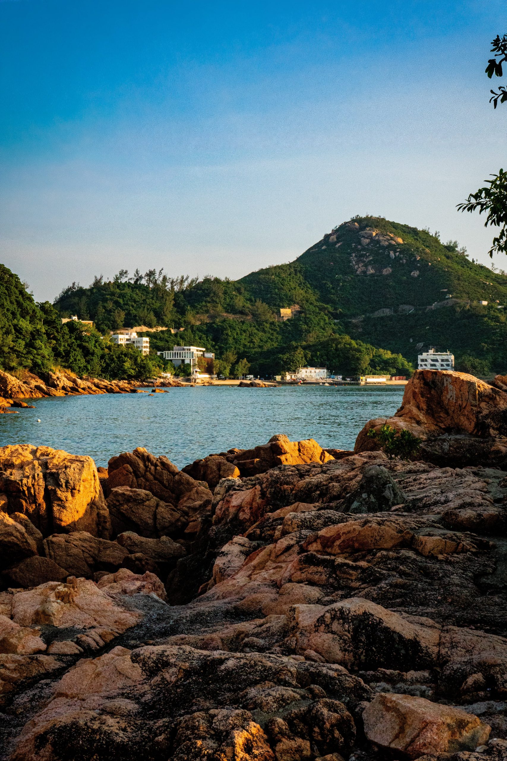 {{brizy_dc_image_alt imageSrc=