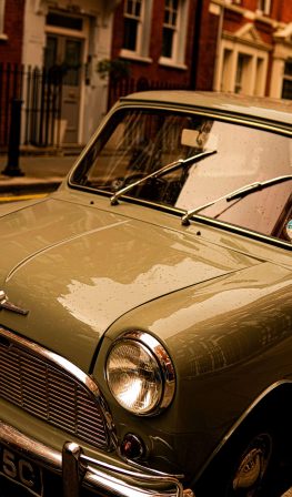 {{brizy_dc_image_alt imageSrc=